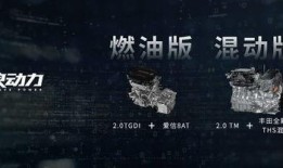 流浪二代爆料视频,视频揭露社会底层生活真相